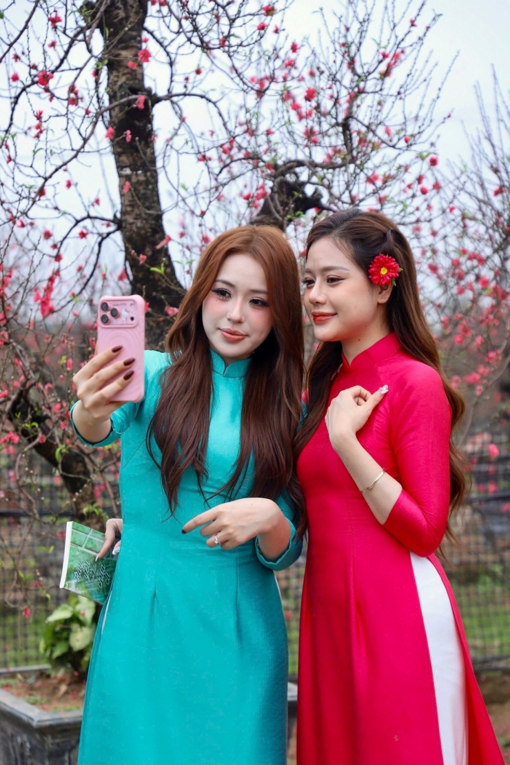 Thiếu nữ xúng xính áo dài, check-in vườn đào Nhật Tân - 6