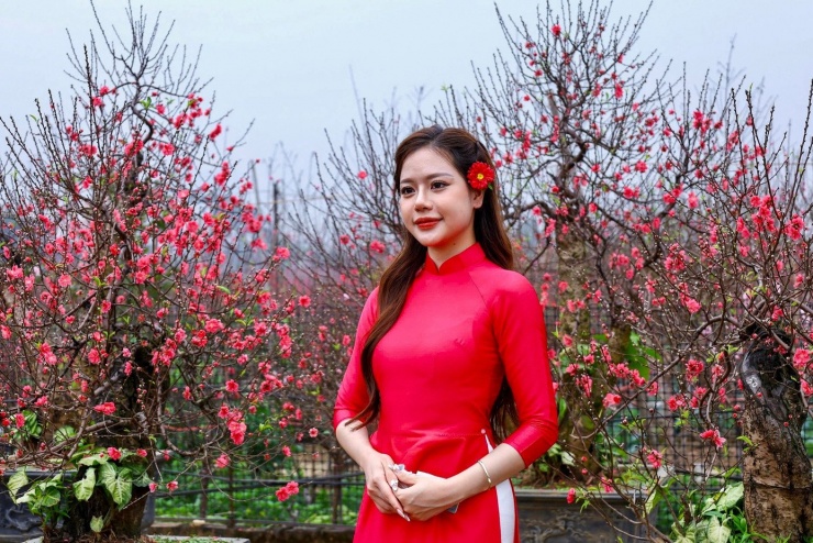 Thiếu nữ xúng xính áo dài, check-in vườn đào Nhật Tân - 8