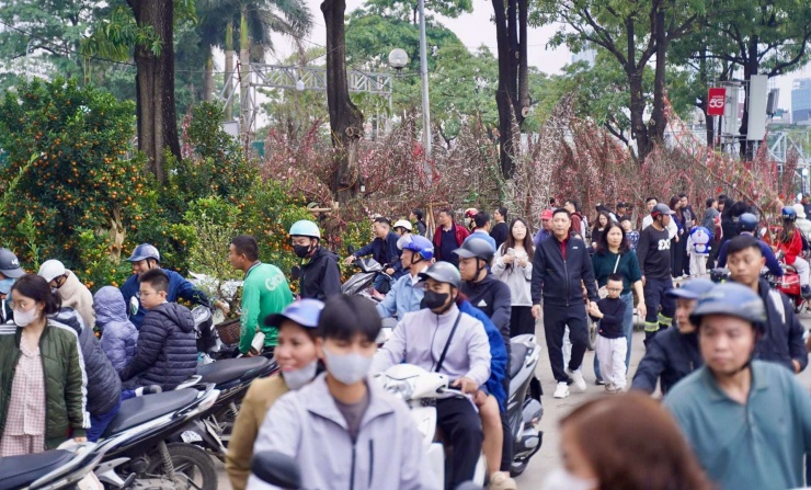 Chỉ còn chưa đầy 24h nữa sẽ bước sang năm mới 2026, nên lượng người đổ về các chợ hoa ngày một đông, ai cũng muốn sắm cho mình một cây cảnh thật ưng ý để về trưng Tết.