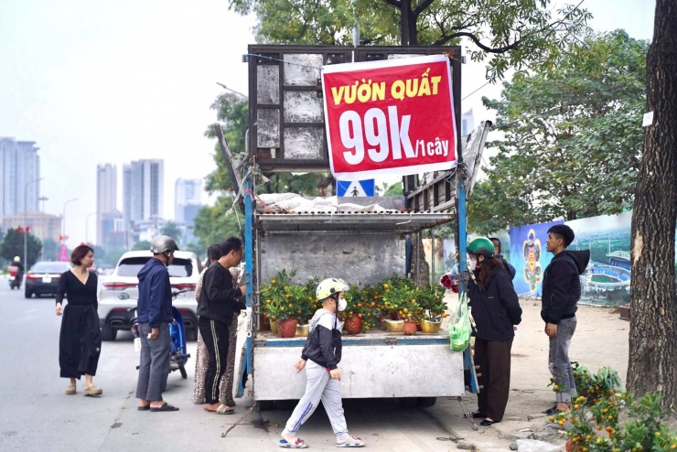 Để vừa lòng khách mua, nhiều hộ kinh doanh đã "xả hàng" đồng giá 99k/cây quất mini (99.000 nghìn đồng)