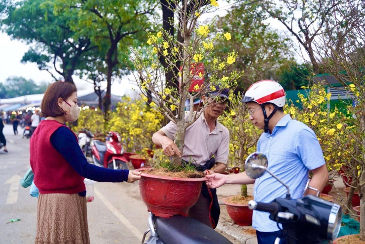 Nhiều năm trở lại đây, xu hướng chơi mai ngày Tết cũng được nhiều người dân ưa chuộng, đây là loài hoa, cây cảnh đặc trưng của miền Nam mỗi độ Xuân về.