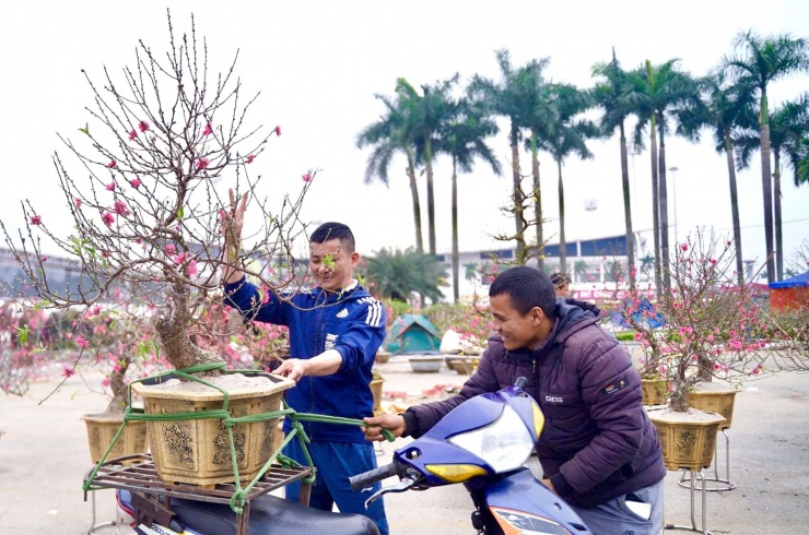 Anh Hùng - một tiểu thương bán đào tại khu vực sân vận động Mỹ Đình cho hay, chỉ còn chưa đầy 24h nữa là đến Tết, nên hạ giá nhiều sản phẩm để bán cho người dân mong thu hồi được vốn liếng.
