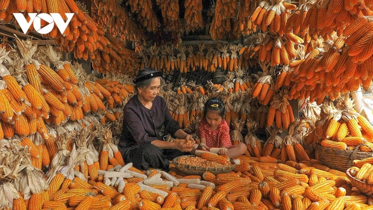 Mùa Xuân đang về với ngôi làng du lịch Quỳnh Sơn và cùng hương sắc mùa Xuân, những tình cảm thật thà, trân quý của con người nơi đây như được lan tỏa mạnh mẽ hơn tới du khách thập phương.