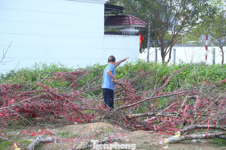 Nhìn những cành đào nằm la liệt, nhiều người bày tỏ sự xót xa. “Nhìn cảnh này thấy xót xa quá. Giá như có cách nào hỗ trợ tiêu thụ sớm hơn thì đỡ lãng phí”, ông T. (trú phường Vinh Hưng) chia sẻ.