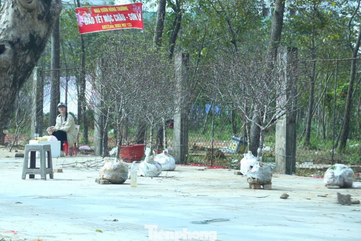 Tiểu thương "ngóng" khách trong sáng 29 Tết Bính Ngọ.