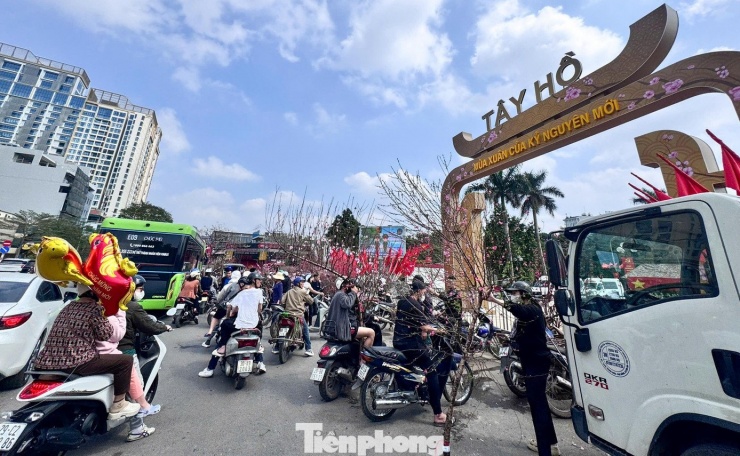 Trên đường Lạc Long Quân, quất mini là mặt hàng hút khách nhất. Nhiều sạp treo biển “99.000 đồng/cây”. Các chậu cao 40-60 cm, quả vàng đều, được nhiều gia đình chọn nhờ giá vừa phải và dễ bày trí.