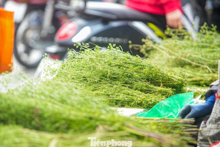 Người Hà Nội 'săn' mùi già về tắm gột rửa bụi trần, mong cầu may mắn - 1