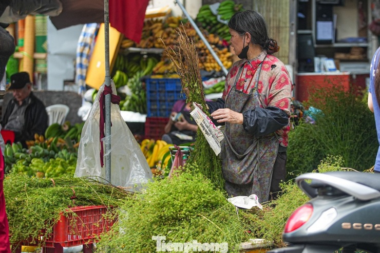 Tiểu thương cho biết, mùi già thường được trồng ở ngoại thành và vận chuyển vào nội đô từ sáng sớm.
