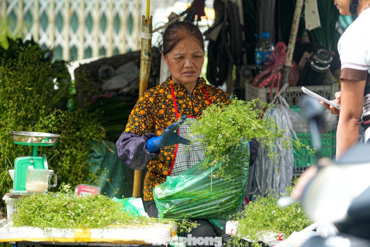 Lá mùi được dùng để tắm thường là lá mùi già, có hoa, lác đác những trái nhỏ, thân chuyển từ màu xanh sang nâu tía.