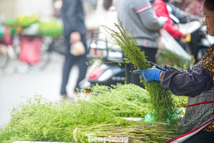 Không chỉ là một phong tục lâu đời, việc tắm bằng nước cây mùi già còn có tác dụng rất tốt về sức khỏe.
