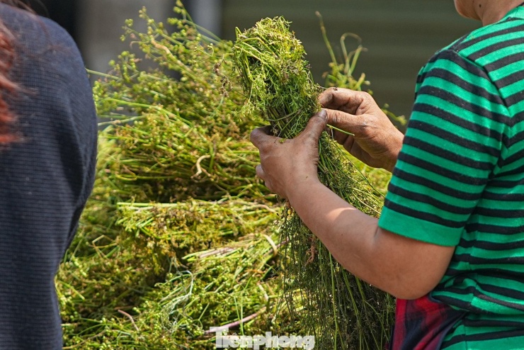 Mỗi người mua lá mùi về dùng với một ý nghĩa khác nhau nhưng họ đều mong muốn đây là tục lệ giúp rửa sạch những điều xấu của năm cũ, và hướng tới một năm mới hạnh phúc, may mắn.