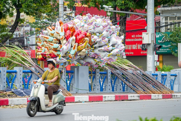 Dọc sông Tô Lịch xuất hiện nhiều điểm tập kết mía lộc.
