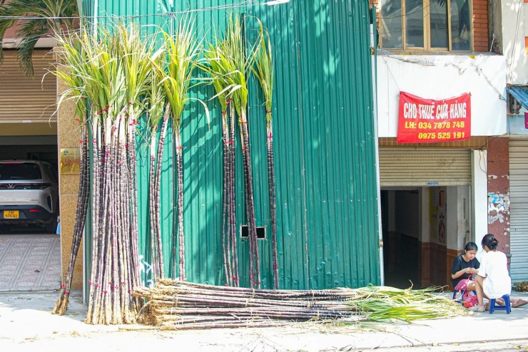 "Mía lộc" dựng sẵn chờ người mua trên phố Cát Linh.