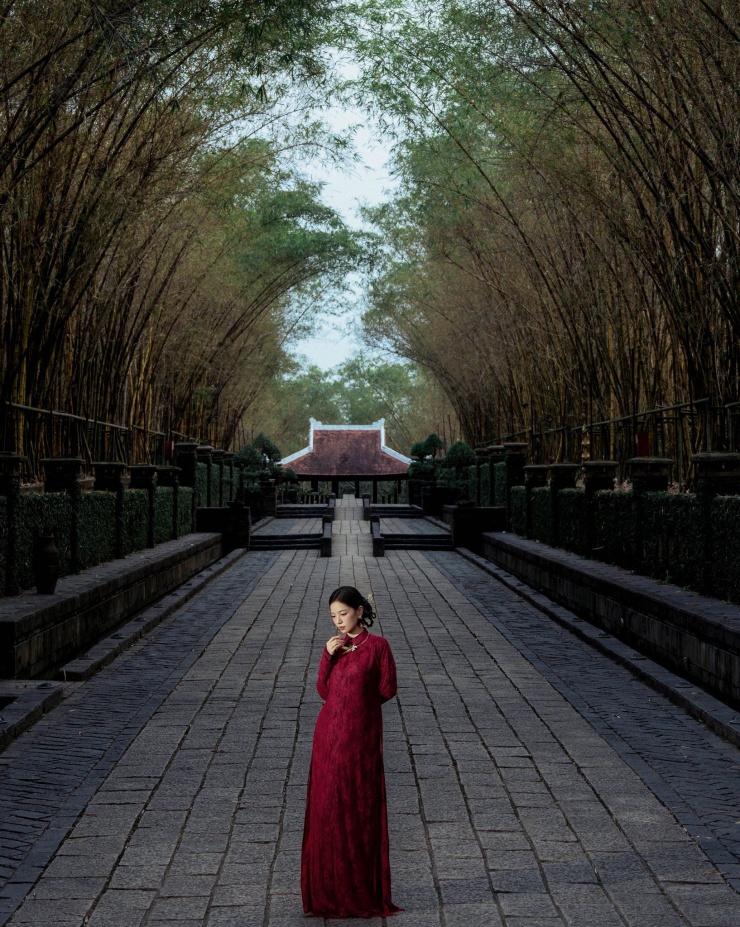 Khung cảnh rừng tre tạo nên một bức tranh thiên nhiên yên bình, đậm đà bản sắc văn hóa Việt.