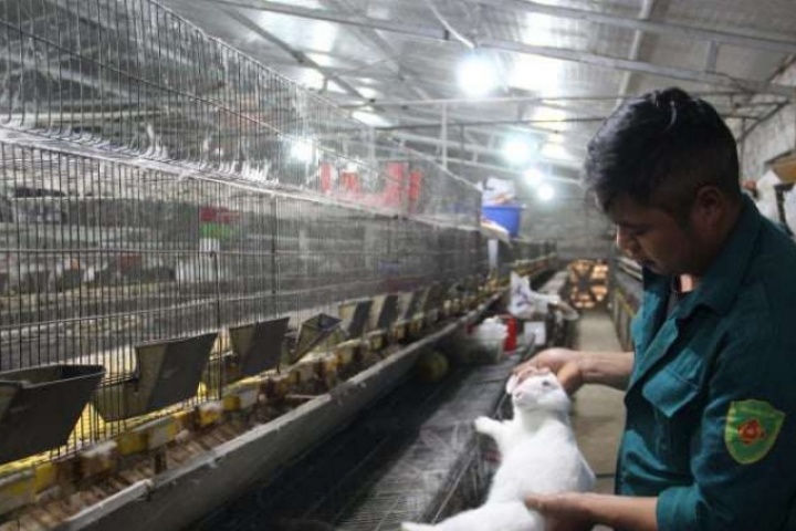 Con gì nuôi thành công ở phường Tam Thanh của Lạng Sơn cứ “3 ngày tăng 1 lạng”, hễ bán con nào lãi luôn con đó?