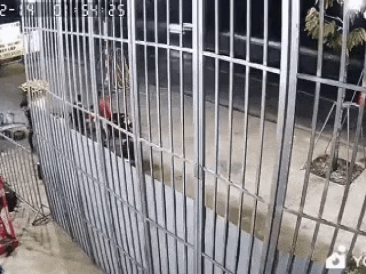 Nhóm tuổi teen mang dao truy đuổi, cướp tài sản người dân trên đường về quê ăn Tết