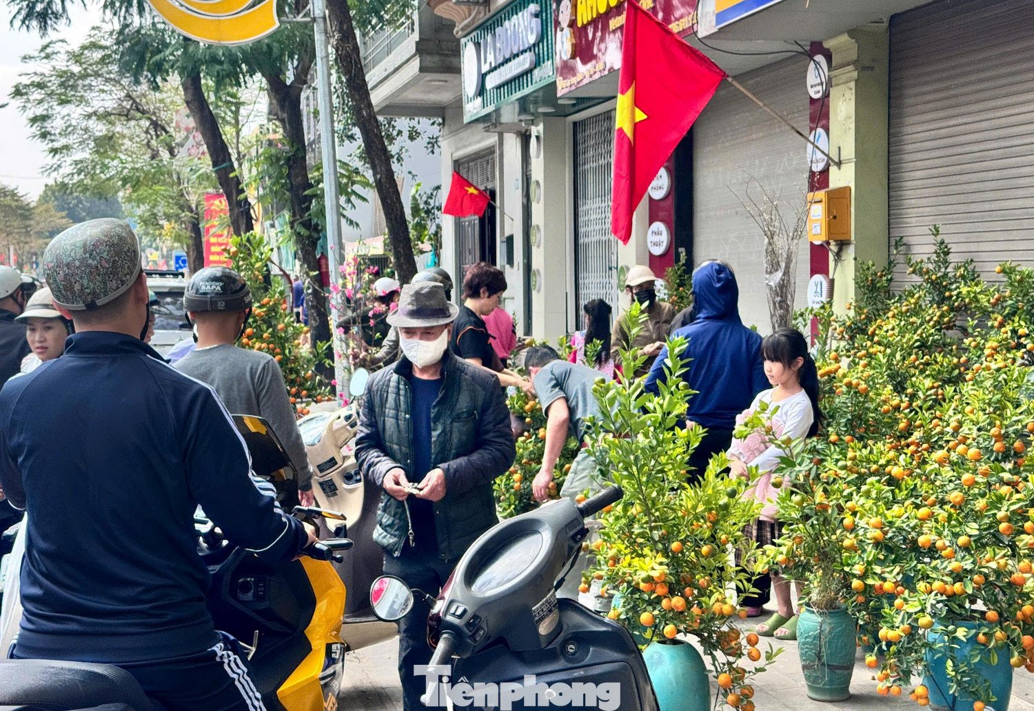 Ngoài quất mini, quất bonsai và quất cỡ trung cũng giảm 30-40%. Người mua chủ yếu chọn cây sai quả, tán tròn, ít rụng lá. Một số tiểu thương cho biết lượng bán ra ngày 29 Tết tăng gấp đôi so với ngày trước đó.