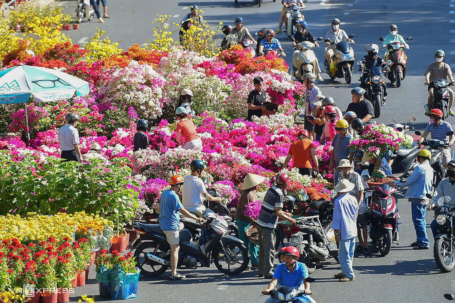 Mở cửa hơn một tuần nay, chợ hoa Tết tại Công viên Gia Định là một trong những điểm mua sắm nhộn nhịp và quy mô lớn nhất TP HCM.