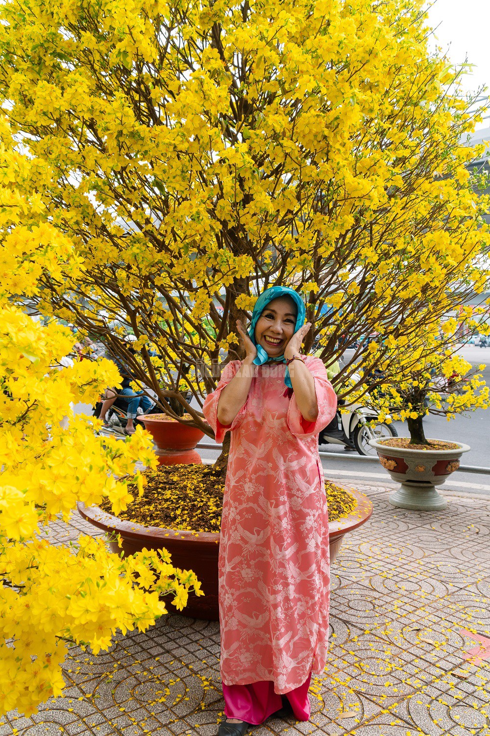 Dừng chân ngắm nhìn những gốc mai đang kỳ nở rộ, bà Trương Tuyết Nga (ngụ phường Hạnh Thông, TPHCM) bày tỏ: "Mai Việt Nam mình đẹp quá, đẹp rực rỡ. Tôi ấn tượng với màu vàng rực rỡ và hoa chùm cùng tán to của cặp mai này. Cặp mai này nếu mà 650 - 700 triệu vẫn rẻ.".