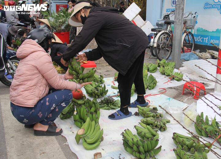 Những ngày trước, chuối tiêu xanh có giá 300.000–400.000 đồng/nải, nhưng đến sáng 16/2 đã giảm mạnh, chỉ còn khoảng 30.000–50.000 đồng mỗi nải.