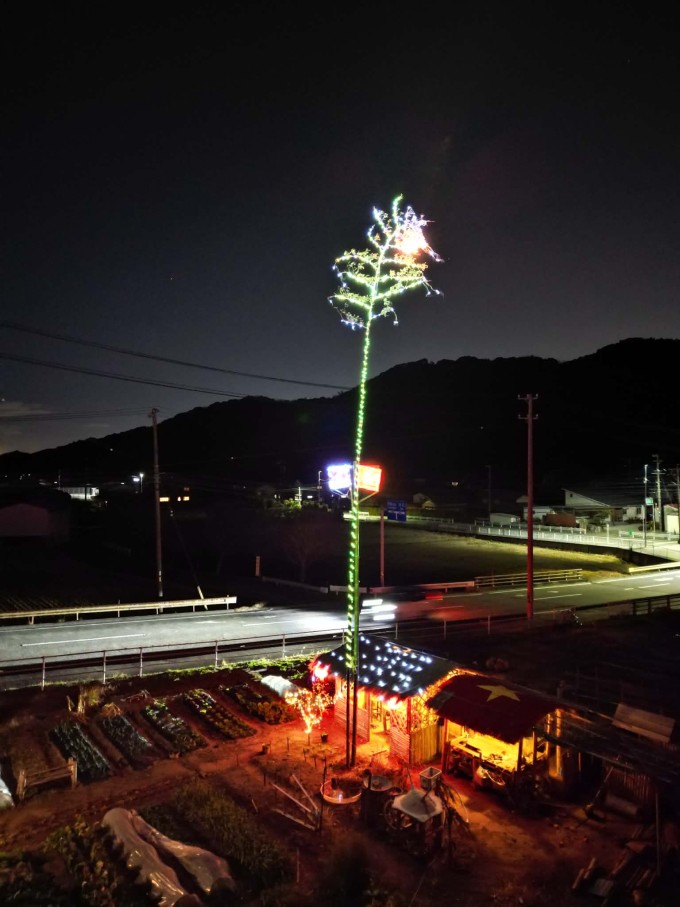 Hai người bạn rủ nhau dựng cây nêu đón Tết. Ảnh: NVCC