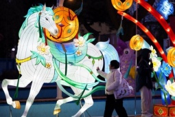 Không khí chuẩn bị đón Tết Bính Ngọ trên thế giới