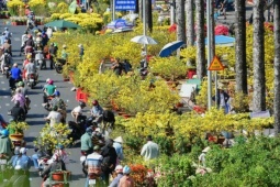 Người dân tấp nập mua hoa giảm giá ngày 29 Tết