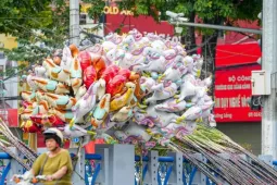 Mía lộc thắt nơ đỏ đổ bộ đường phố Hà Nội chờ Giao thừa