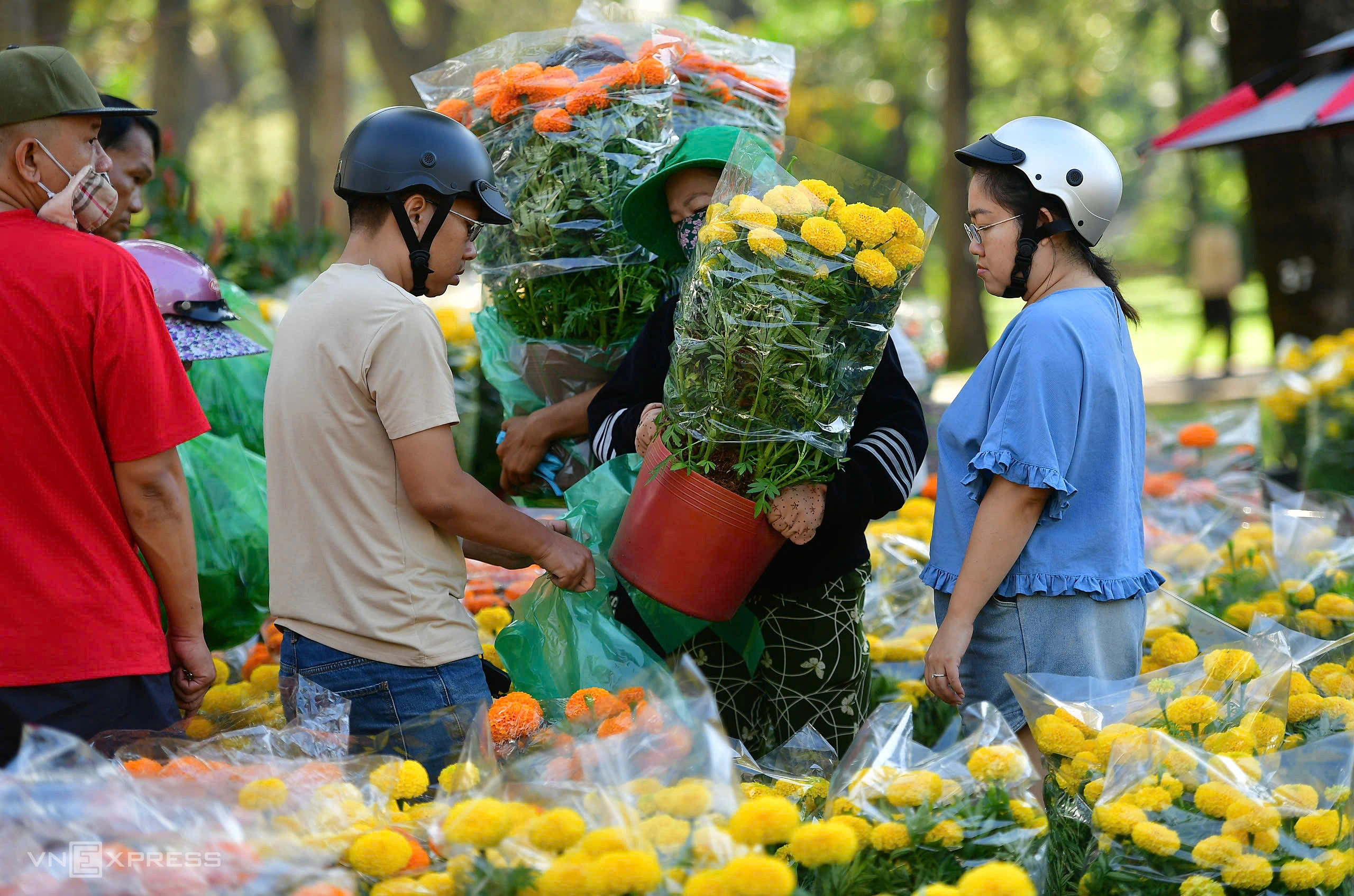 Hoa cúc, vạn thọ được nhiều người lựa chọn, với giá dao động 150.000–250.000 đồng mỗi cặp, tùy loại và kích cỡ. "Những loại hoa này dễ chưng Tết. Tôi đã mua từ cả tuần trước, nay ra chọn thêm vài chậu đặt trước cửa nhà cho đẹp", anh Nguyễn Phùng nói.