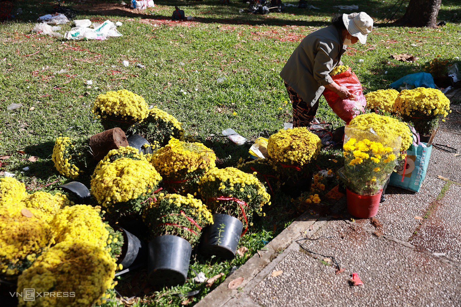 Nhiều cây đào hư hỏng, không còn hoa và nụ bị tiểu thương bỏ lại, chỉ giữ lại phần chậu để tái sử dụng.