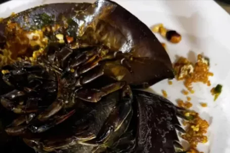 3 người bị nhiễm độc sau khi ăn sam tại quán ốc ở Cà Mau