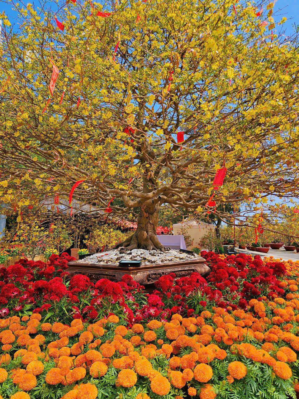 Một ngày du xuân Cần Giờ, trọn niềm vui cho cả gia đình, vẹn ký ức cho nhiều mùa Tết - 4