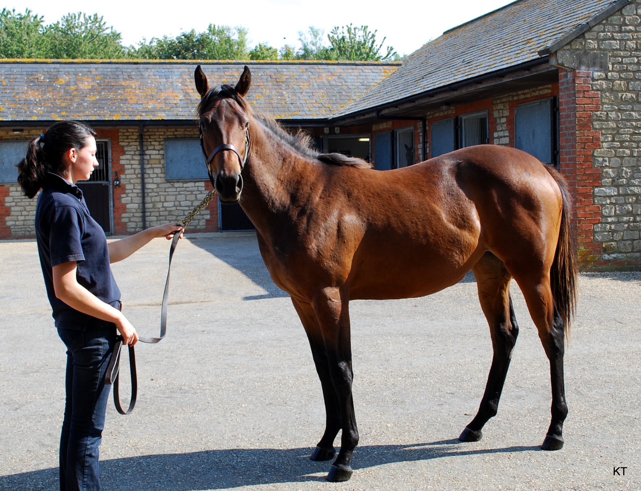 Fusaichi là con ngựa Thoroughbred đắt nhất lịch sử, được bán với giá kỷ lục&nbsp;70 triệu USD&nbsp;(khoảng 1.800 tỷ đồng).
