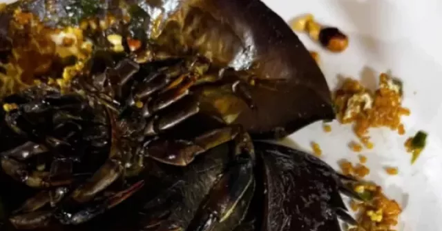 3 người bị nhiễm độc sau khi ăn sam tại quán ốc ở Cà Mau