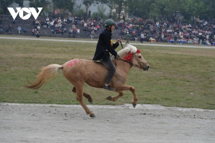 Đầu giờ chiều, dù chưa đến giờ khai cuộc, nhưng sân vận động Bắc Hà vẫn nóng lên từng phút. Không khí náo nhiệt như ngày Tết thực thụ với sắc màu thổ cẩm rực rỡ. Những nhóm thiếu niên, nam thanh nữ tú vai đeo gùi hoa cải vàng ruộm tỏa đi khắp các khán đài để du khách hào hứng chụp ảnh cùng.