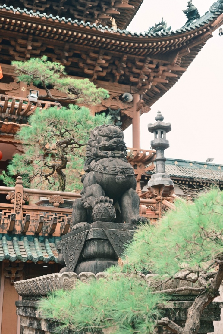 Du xuân chùa Minh Thành cùng Huỳnh Quang Nhật - 7