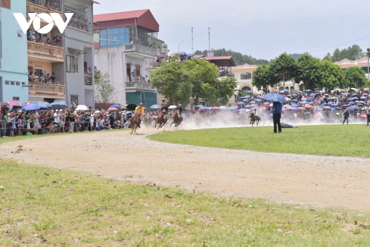 Cuộc đua ngựa náo nhiệt, thu hút rất đông người xem.