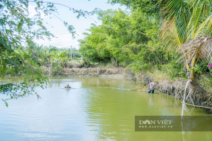Ông Lê Văn Cương ở xã Hòa Phú, tỉnh Đắk Lắk (địa phận TP Buôn Ma Thuột trước đây) đang kéo lưới để bắt cá lăng đuôi đỏ bán cho dịp Tết Nguyên đán. Ảnh Công Nam