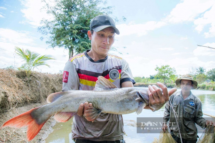 Anh Lê Văn Kiên (xã Hòa Phú, tỉnh Đắk Lắk) cùng con cá lăng đuôi đỏ nặng khoảng 5kg bán cho khách dịp cận Tết Nguyên đán. Ảnh Công Nam