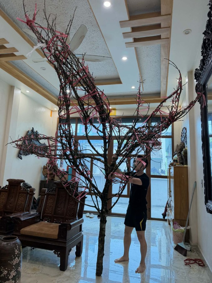 Cành đào ngày mới mang về nhà.