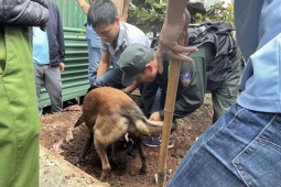Chuyện chưa kể về hành trình triệt phá vụ án mua bán ma túy lớn nhất Đắk Lắk