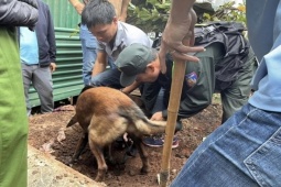 Chuyện chưa kể về hành trình triệt phá vụ án mua bán ma túy lớn nhất Đắk Lắk