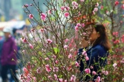 Thời tiết từ mùng 2 đến mùng 6 Tết Bính Ngọ