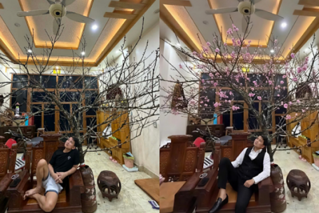 Vợ 9X gây sốt khi 'trách' chồng mua cành đào 17 triệu đồng như củi khô