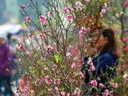 Thời tiết từ mùng 2 đến mùng 6 Tết Bính Ngọ