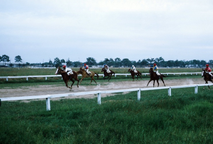 Trường đua ngựa Phú Thọ xưa và nay - 3