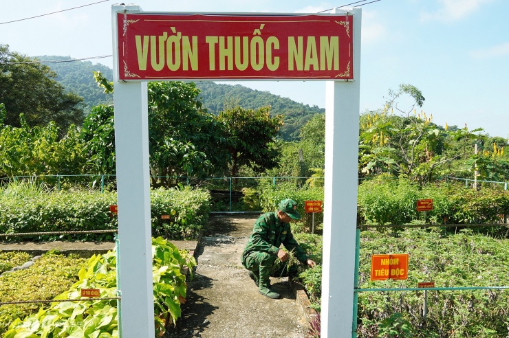 Sắc xuân trên đảo tiền tiêu Hòn Khoai - 9