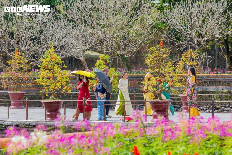 Theo Trung tâm Bảo tồn Di tích Cố đô Huế, những ngày đầu năm mới Bính Ngọ 2026, trung tâm thực hiện chính sách mở cửa miễn phí đối với du khách Việt Nam, tạo điều kiện để người dân và du khách du xuân, thưởng lãm di sản, cảm nhận không khí Tết cổ truyền trong không gian Hoàng cung xưa.