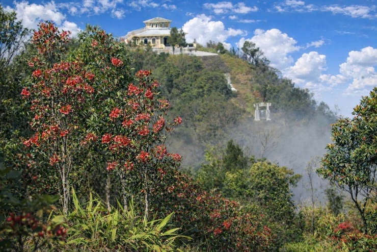 Ông Nguyễn Vũ Linh, Giám đốc Vườn quốc gia Bạch Mã cho biết, trong 2 năm trở lại đây, lực lượng bảo vệ rừng tổ chức hơn hàng chục nghìn lượt tuần tra, qua đó tháo gỡ 5.468 bẫy động vật, dỡ hơn 217 lán trại trái phép, lập biên bản 16 vụ vi phạm lâm nghiệp. Ngoài ra, qua việc thực hiện nghiên cứu thực địa, phát hiện và công bố 14 loài mới, cập nhật danh mục Vườn với hơn 73 loài chưa có trong danh mục trước đó (50 loài thực vật, 23 loài động vật). Đặc biệt, thông qua bẫy ảnh ghi nhận sự xuất hiện trở lại của Gấu ngựa, Cầy vằn bắc, quần thể Tê tê, Sơn dương và các loài linh trưởng...