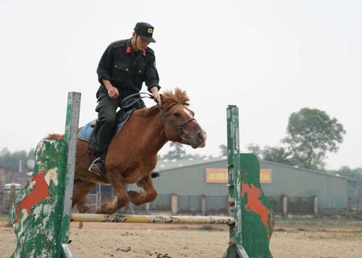 Người và ngựa cùng “bay qua” chướng ngại vật. Ảnh: X.A